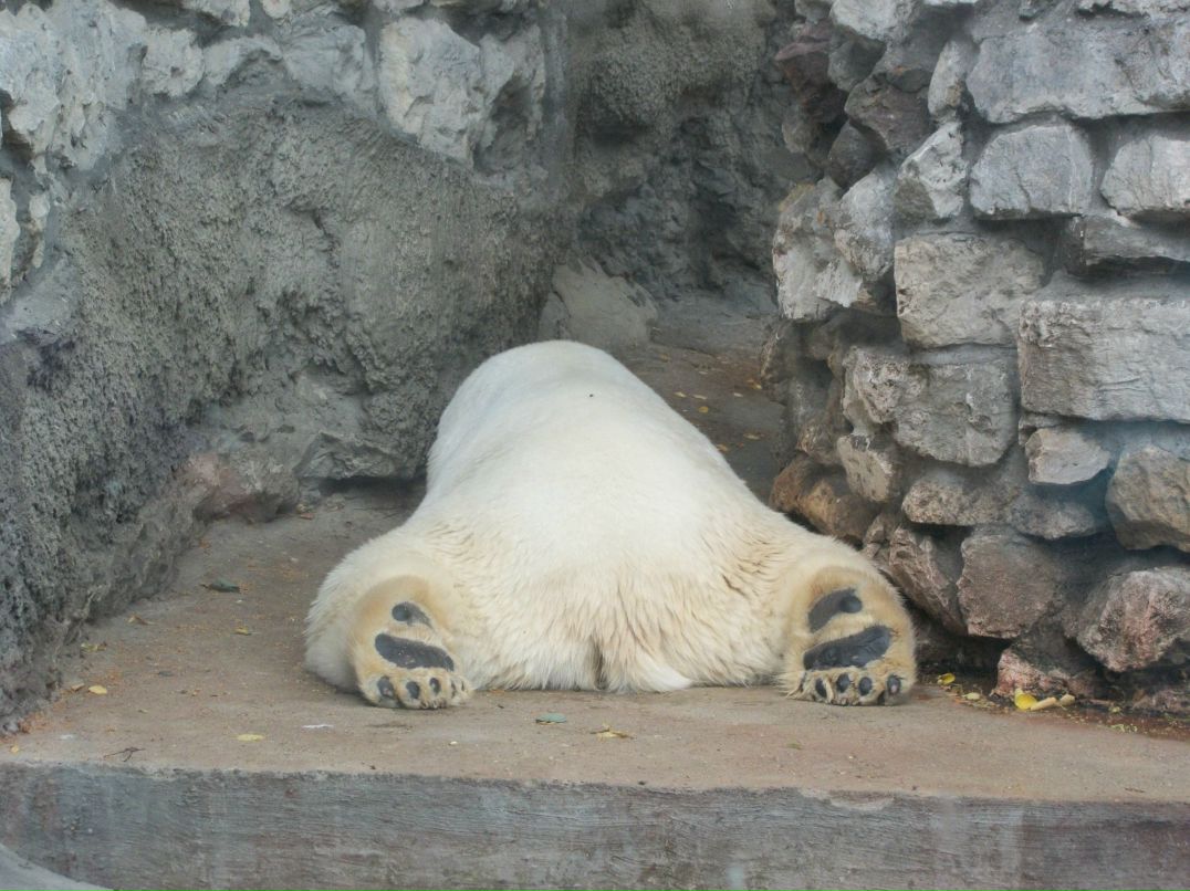 Лена Примина | Москва