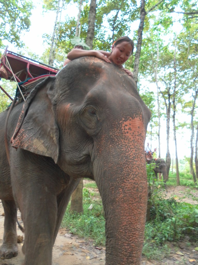 Людмила Цыренова | Улан-Удэ