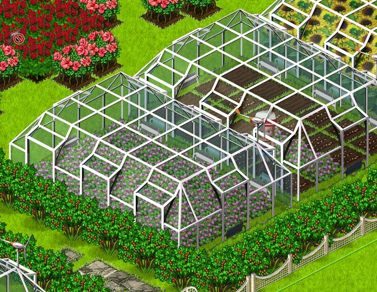 Елена Щербакова | Санкт-Петербург