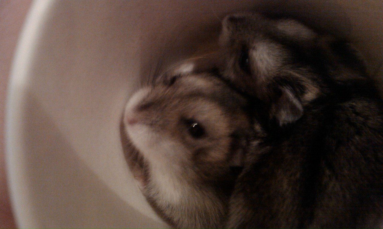 Вероника Малоненкова | Санкт-Петербург