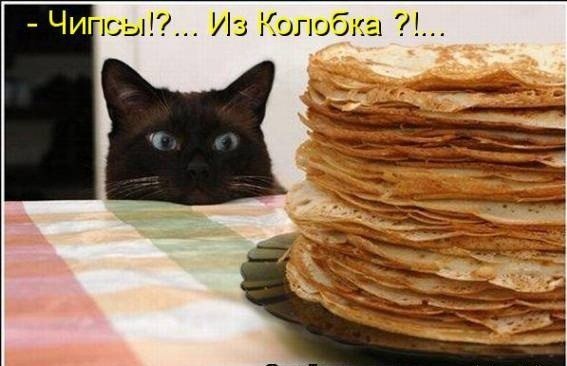 Михаил Казенин | Великий Новгород