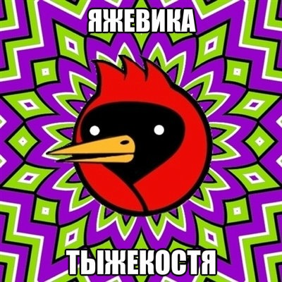 №125, Дарья Друщенко, Новосибирск №125, Дарья Друщенко, Новосибирск
