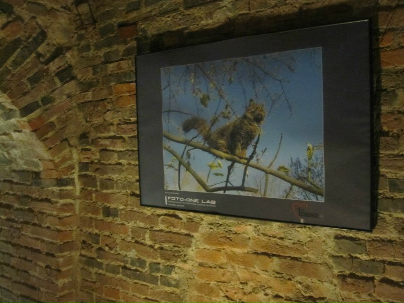 №55, Илья Андреевич, Москва №55, Илья Андреевич, Москва