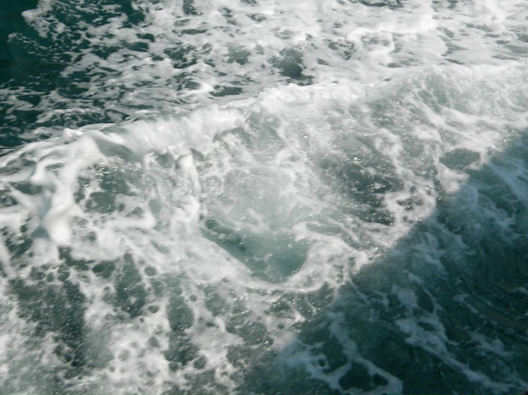 Юрий Кукуету Иванович | Пасечная