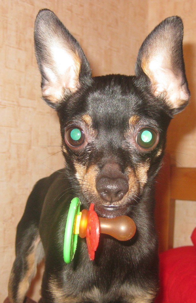 Валентина Хамхоева | Челябинск