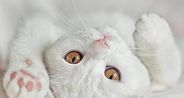 Оксана Татаринова | Чернигов