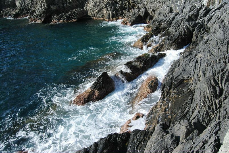 Ольга Каунова | Verona