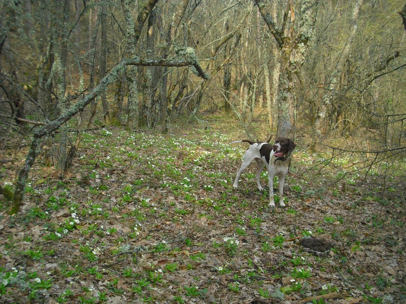 Роман Дашко __ÑøøÃ__ | Ялта