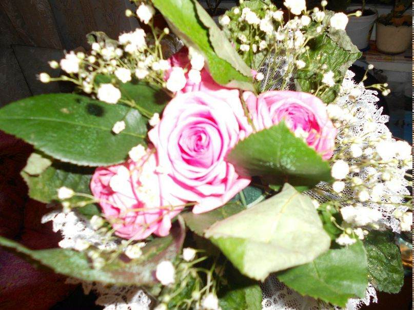 Алия Башарова | Уфа