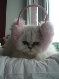 №38, Мария Филимонова, Санкт-Петербург, Россия №38, Мария Филимонова, Санкт-Петербург, Россия