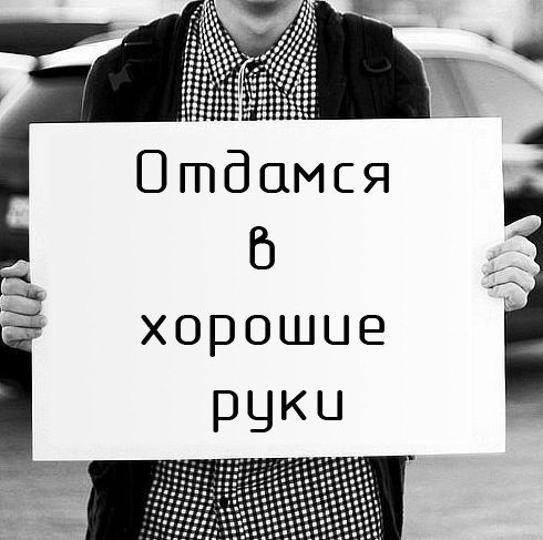 Руслан Закиев | Раевский