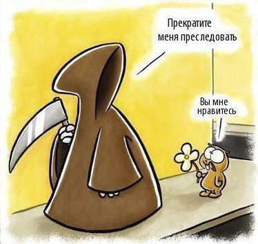 №13, Андрей Трунов, Сочи №13, Андрей Трунов, Сочи