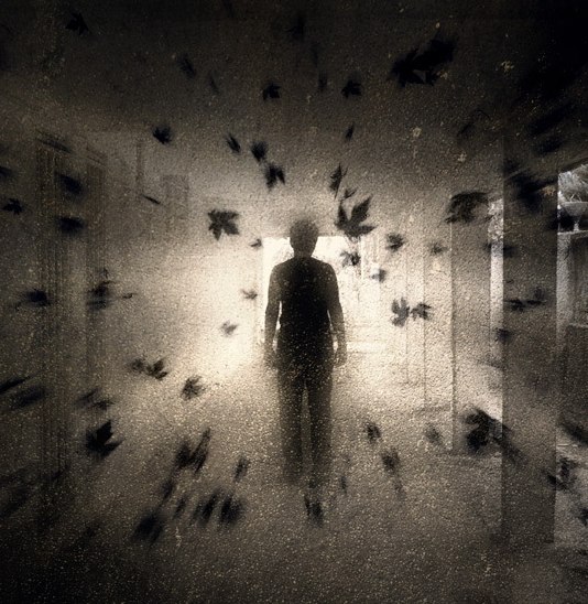 Владимир Невинчаный | Киев