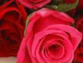 Андрей Лукин | Санкт-Петербург