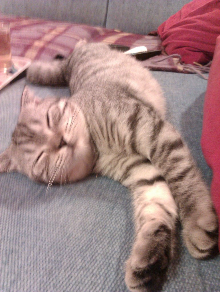 Елена Логинова | Москва