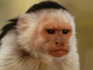 Евгений Кульчицкий 