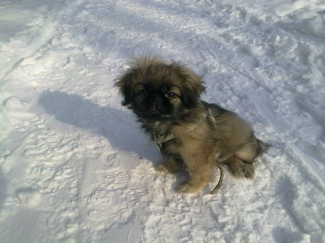 Алексей Геращенко | Южно-Сахалинск