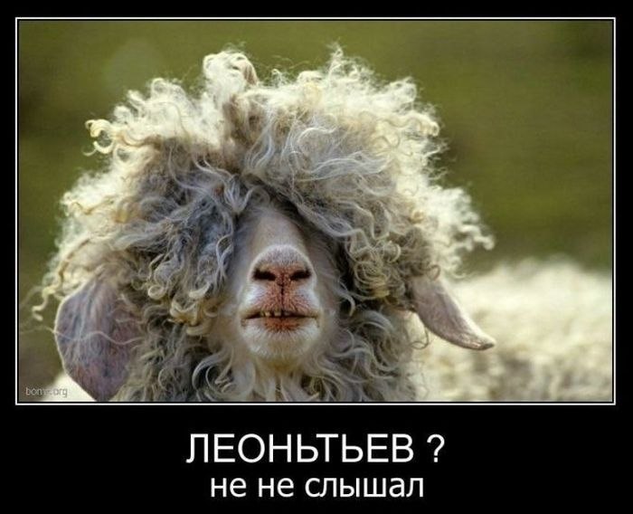 Ирина Петунькина | Новокузнецк