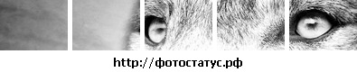 №139, Анастасия Сокирка, Мироновский №139, Анастасия Сокирка, Мироновский