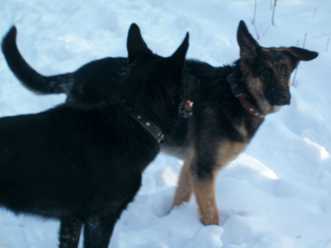 Зинаида Чернышова | Полтава