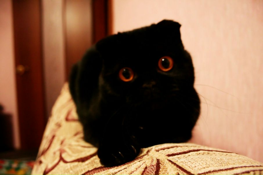 №10, Елизавета Рязанова, Выкса №10, Елизавета Рязанова, Выкса