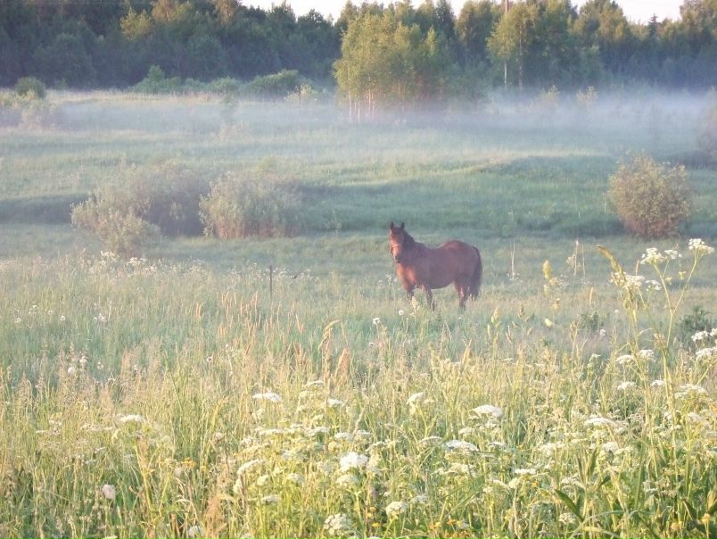 Алексей Иванов фото профиля #3