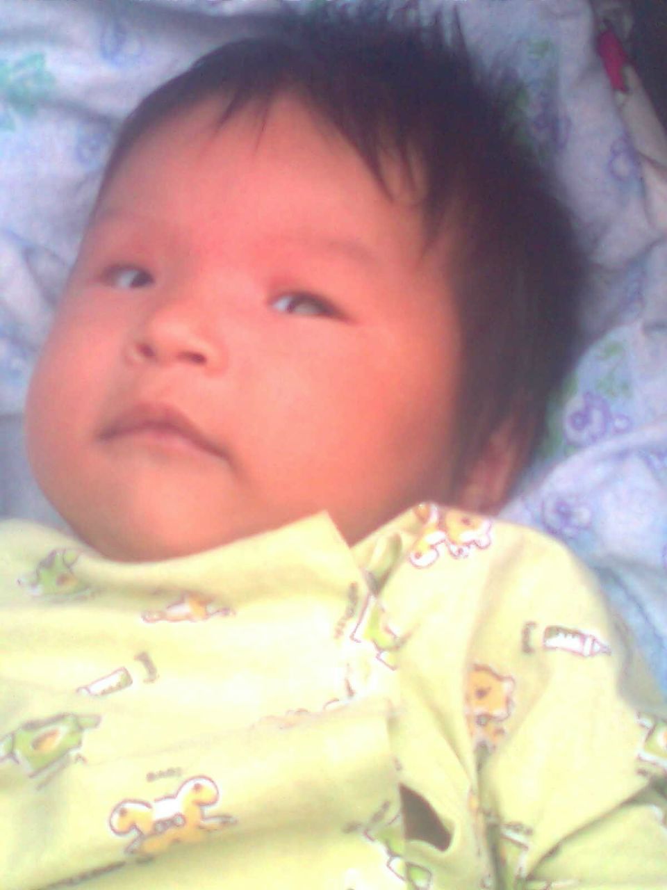 Айса Джоджуева Халисовна | Кетченеры