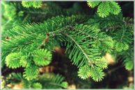 №3, Екатерина Кузнецова, 22.11, Ижевск, Россия