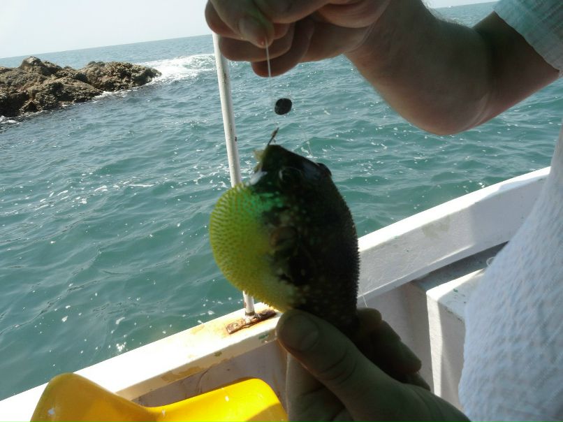 Павел Михайлов | Воркута