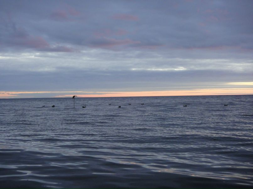 Ирина Титова | Санкт-Петербург