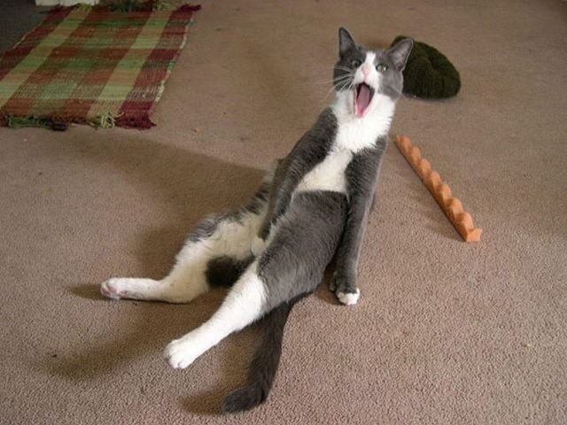 Эмиль Саттаров (Ёма) | Магнитогорск