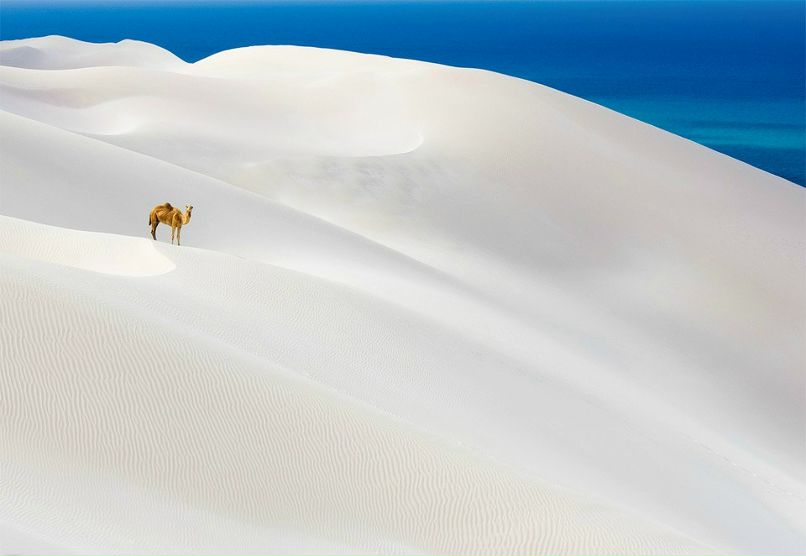 Владимир Сухоруков | Харьков