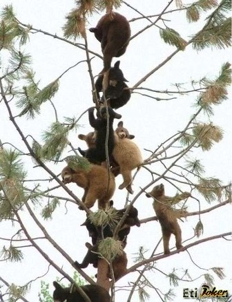 Ольга Федорова | Якутск