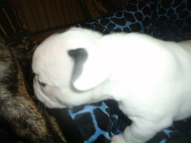 Александр Цап | Харьков