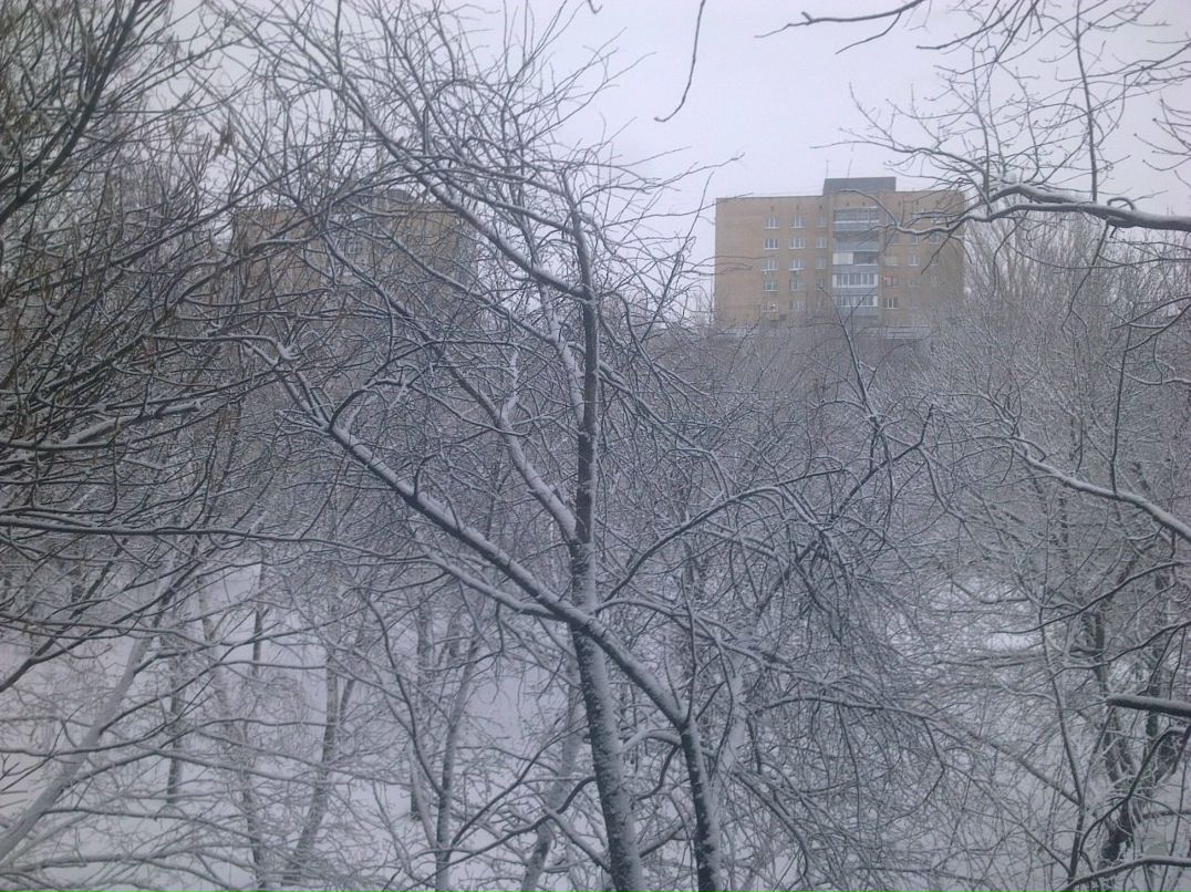 Сергей Елашев | Тольятти