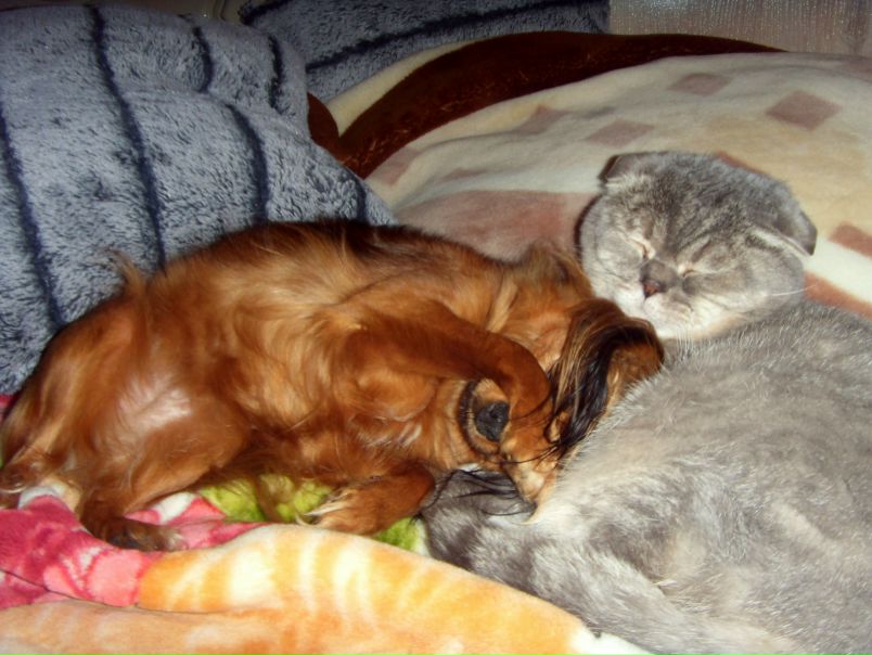 №79, Алевтина Малыш, Липецк №79, Алевтина Малыш, Липецк