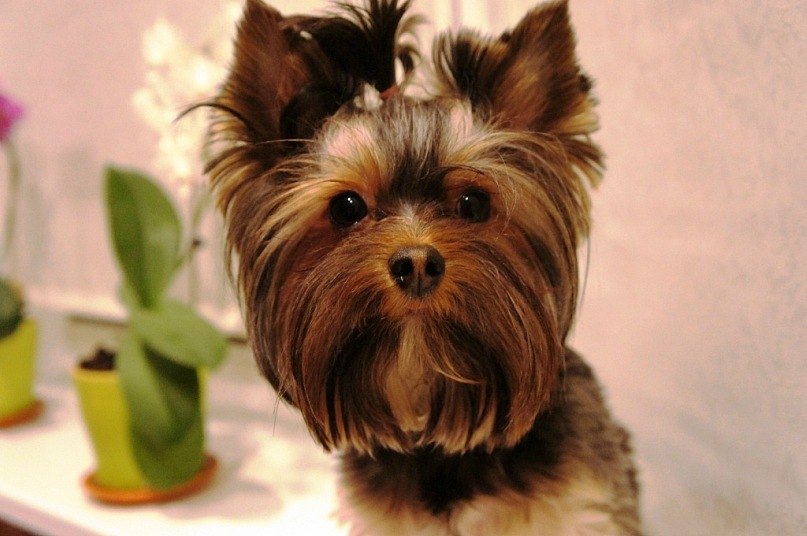 Катенька Ткачёва Summer | Подольск