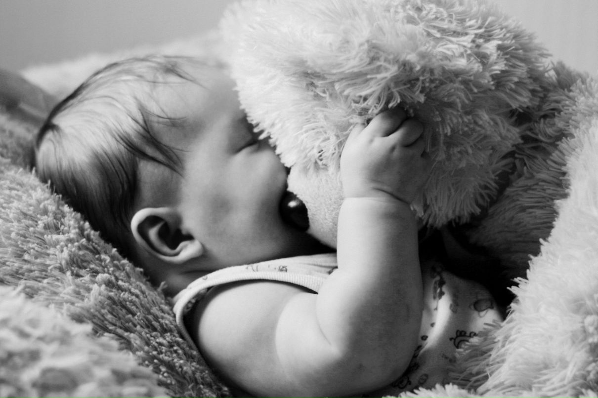 Буся Brown | Оренбург