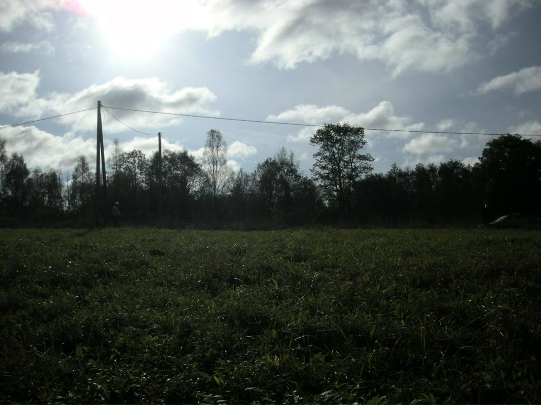 Виктория Сорока | Санкт-Петербург