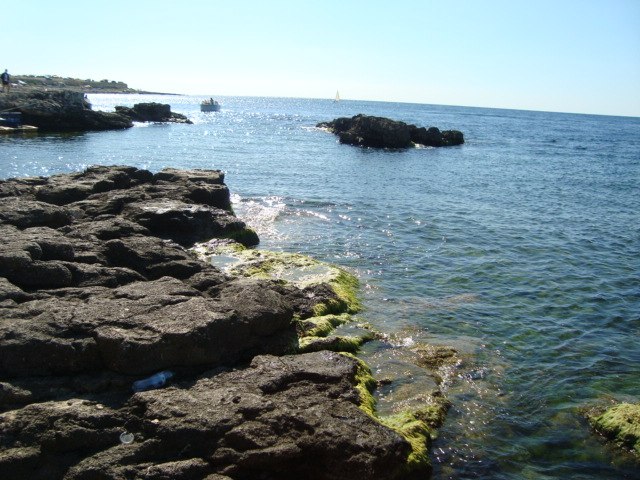 Юлия Еременко | Днепр (Днепропетровск)