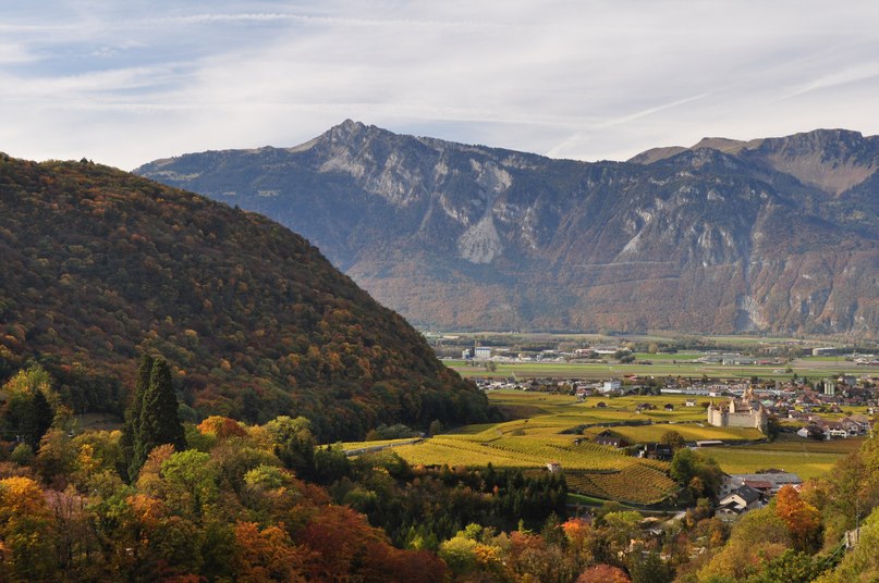 Сергей Скулков | 