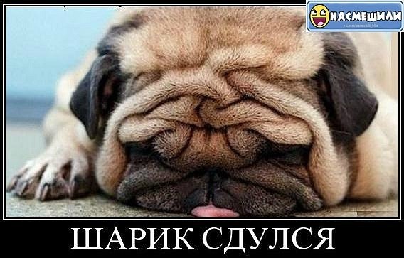 Алексей Терезюк | Киев