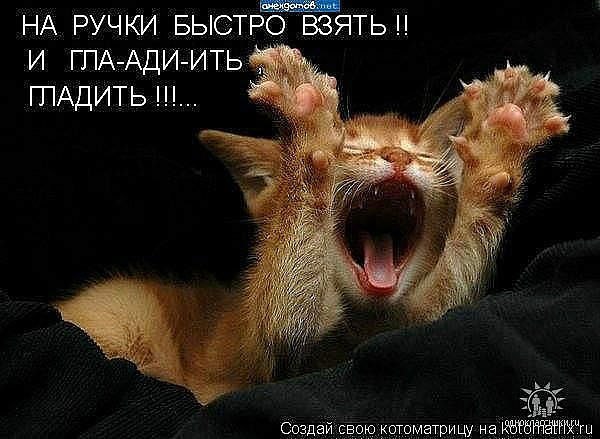 Екатерина Ткаченко | Санкт-Петербург