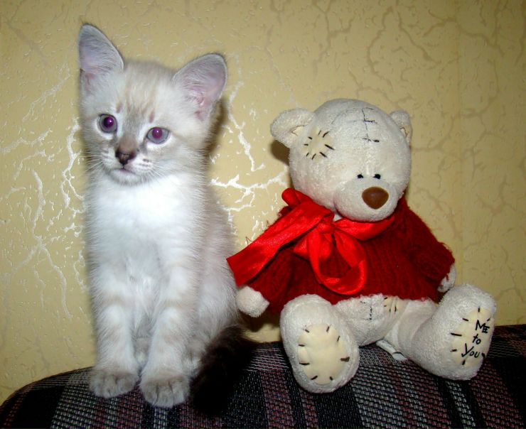 №33, Наталья Смирных, Ижевск №33, Наталья Смирных, Ижевск