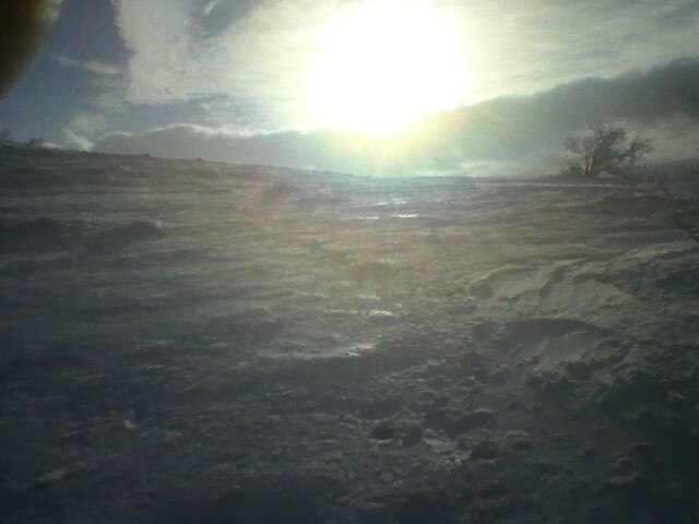 Юлия Владимирова | Севастополь