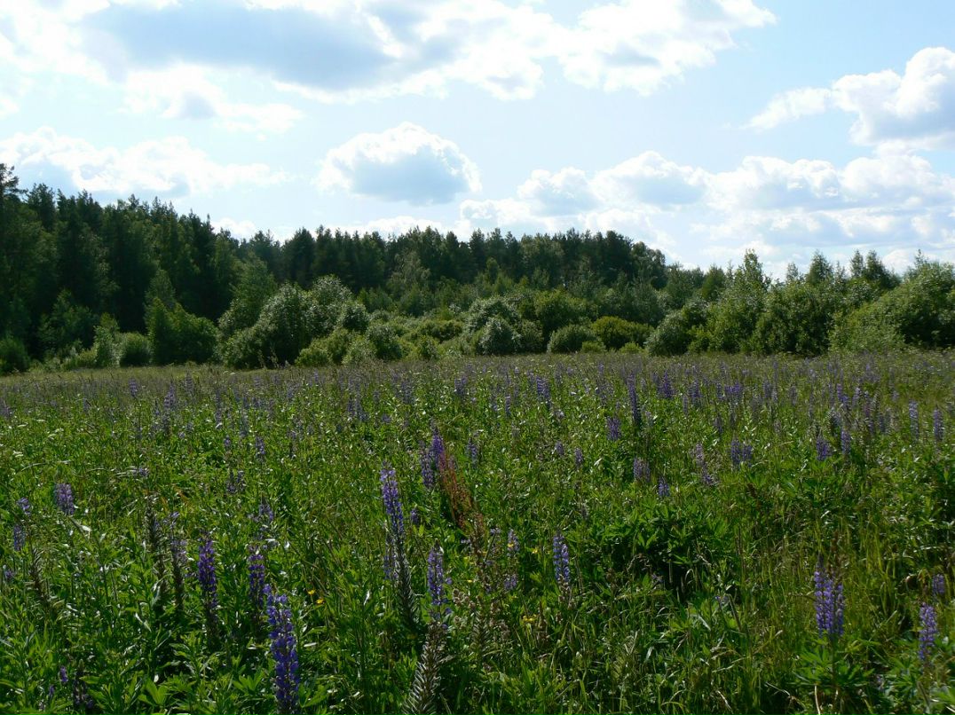 Наталия Дегтярева | Москва