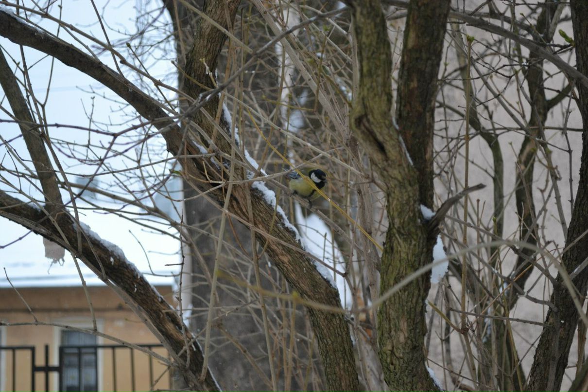 Екатерина Устинова | Санкт-Петербург