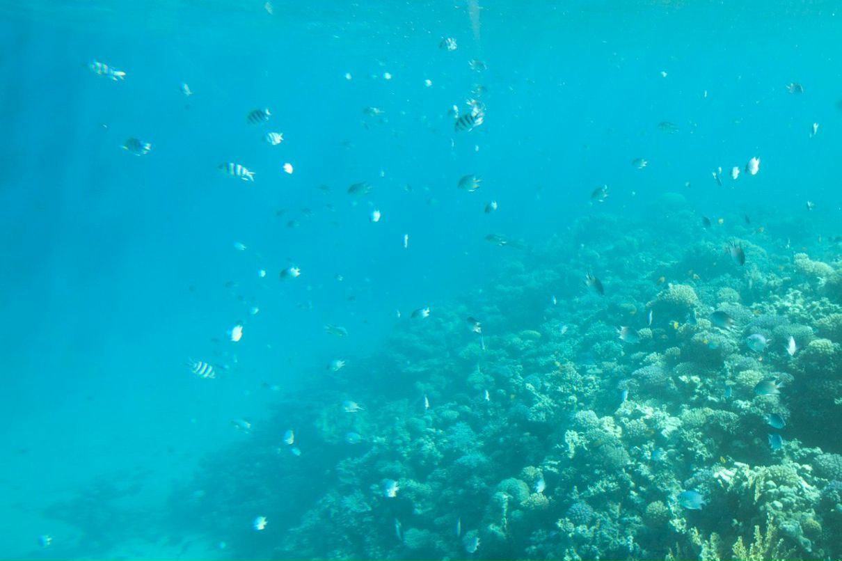 Юля Андреева | Кимры