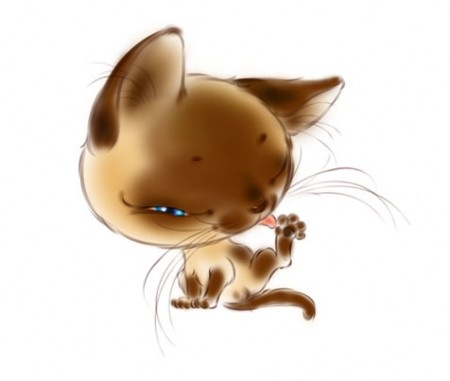 №195, Алина Петрова, 1.4.1997 №195, Алина Петрова, 1.4.1997