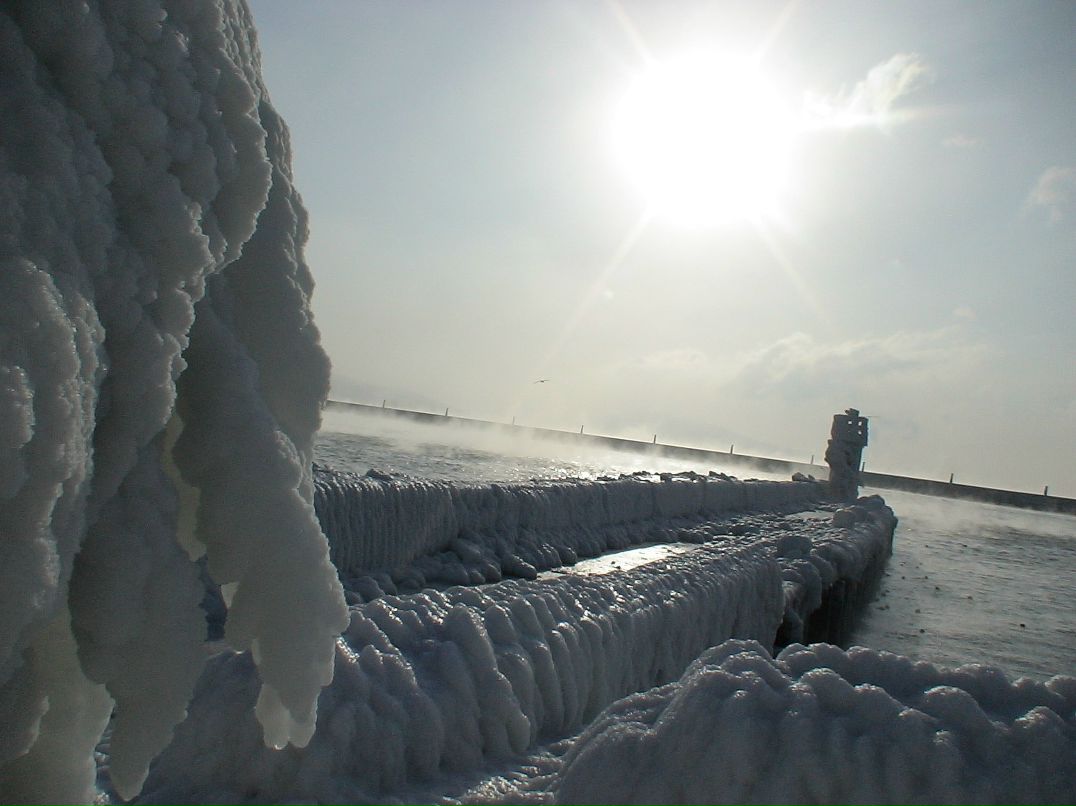 Anthony Butler lossless_edition | Новороссийск